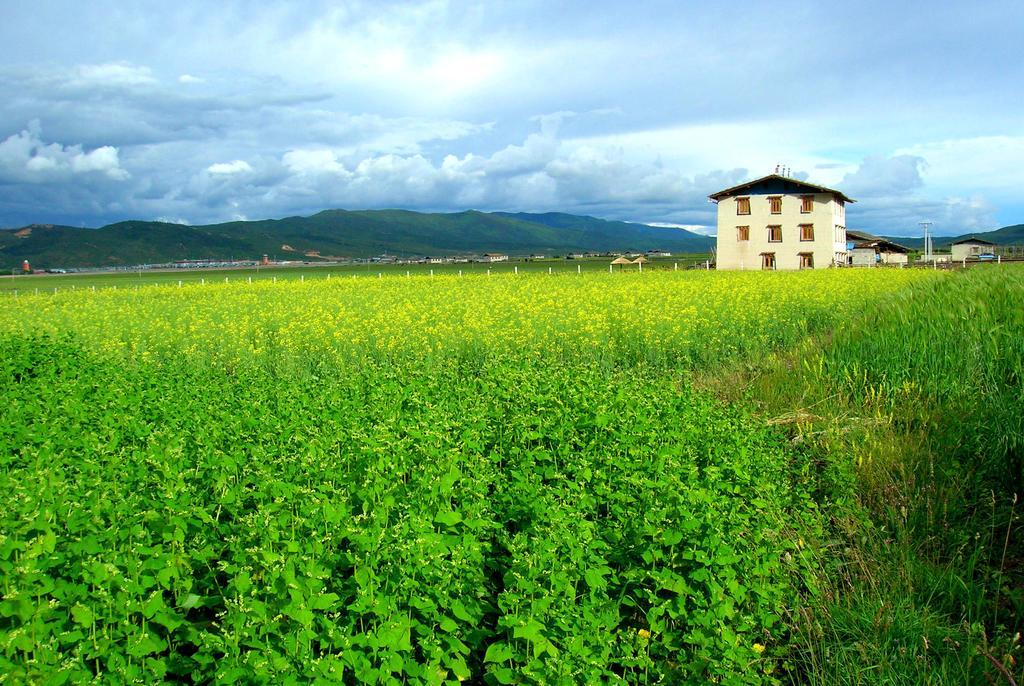 Shangri-La Lao Shay Youth Hostel Ngoại thất bức ảnh