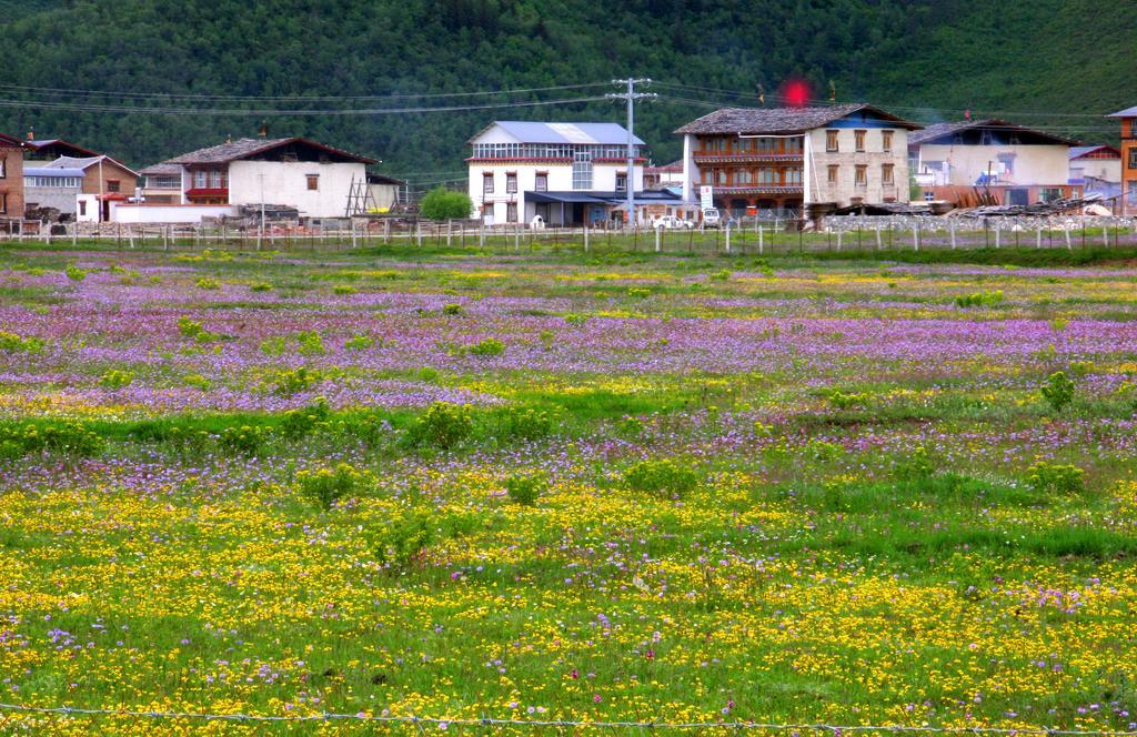 Shangri-La Lao Shay Youth Hostel Ngoại thất bức ảnh