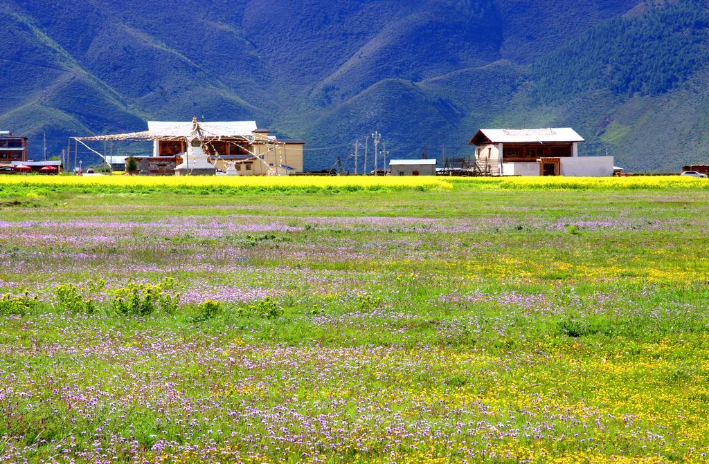 Shangri-La Lao Shay Youth Hostel Ngoại thất bức ảnh